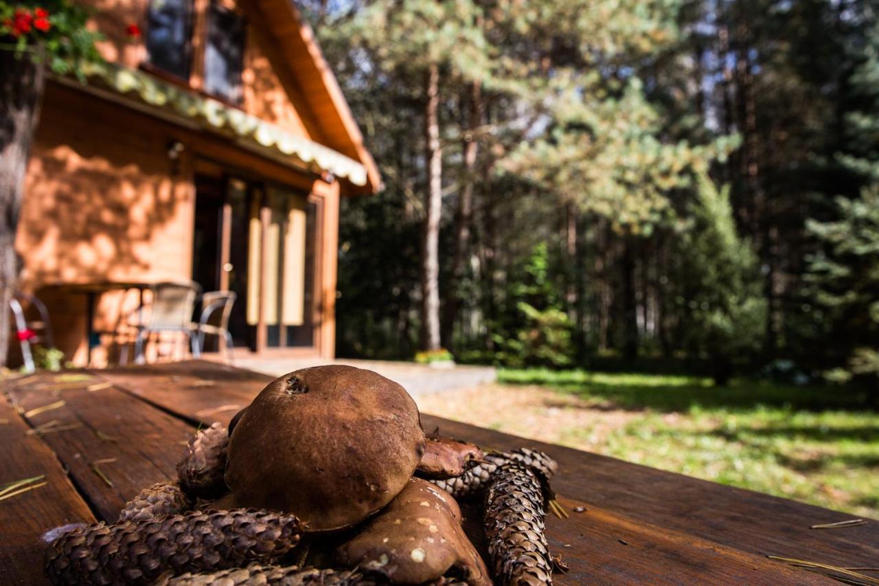 Domek Pod Klonem Zary  Kültér fotó